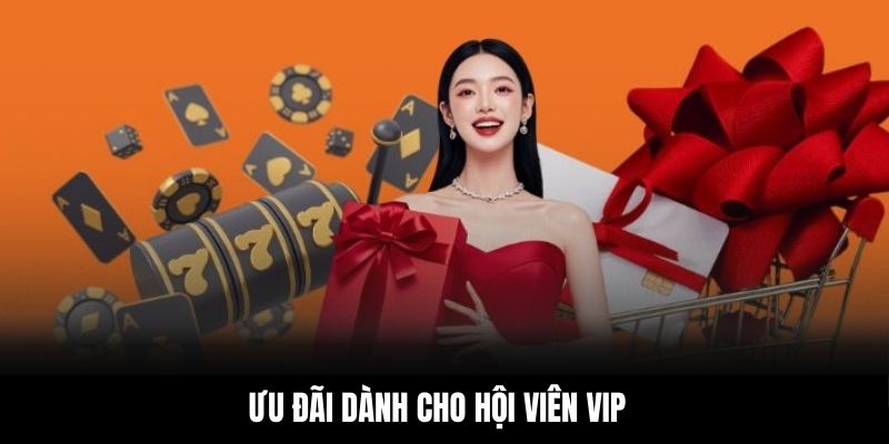 Ưu đãi dành cho hội viên VIP